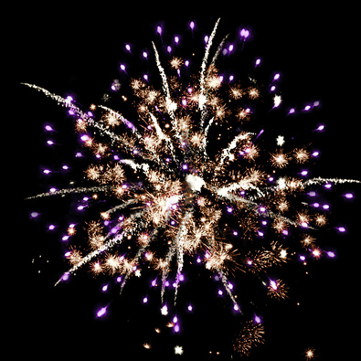 Белые лебеди.