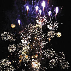 Бешеный страус.