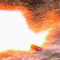 КОМАНДА КОРСАРА МОРГАНА 2