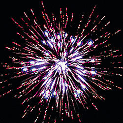 Кот - Котофеич.