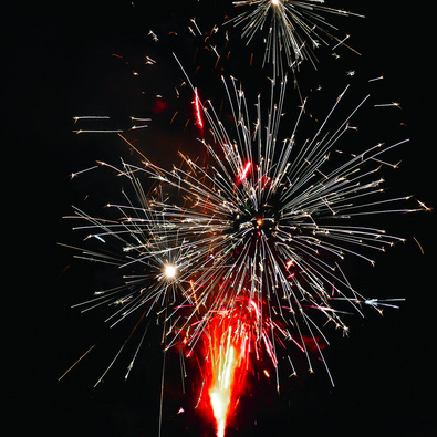 Полосатые тигрята.