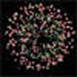 Салют Фаберже.