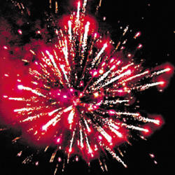 Снежный  барс.