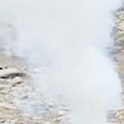 Сюрприз, (девочка).