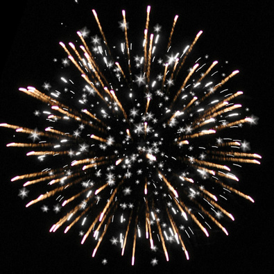 Тропические бабочки.