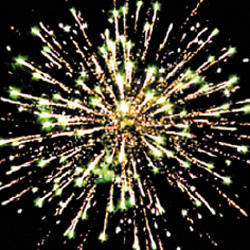 Вертихвостка.