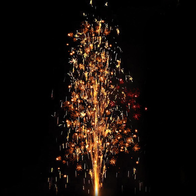 Золотые хризантемы.